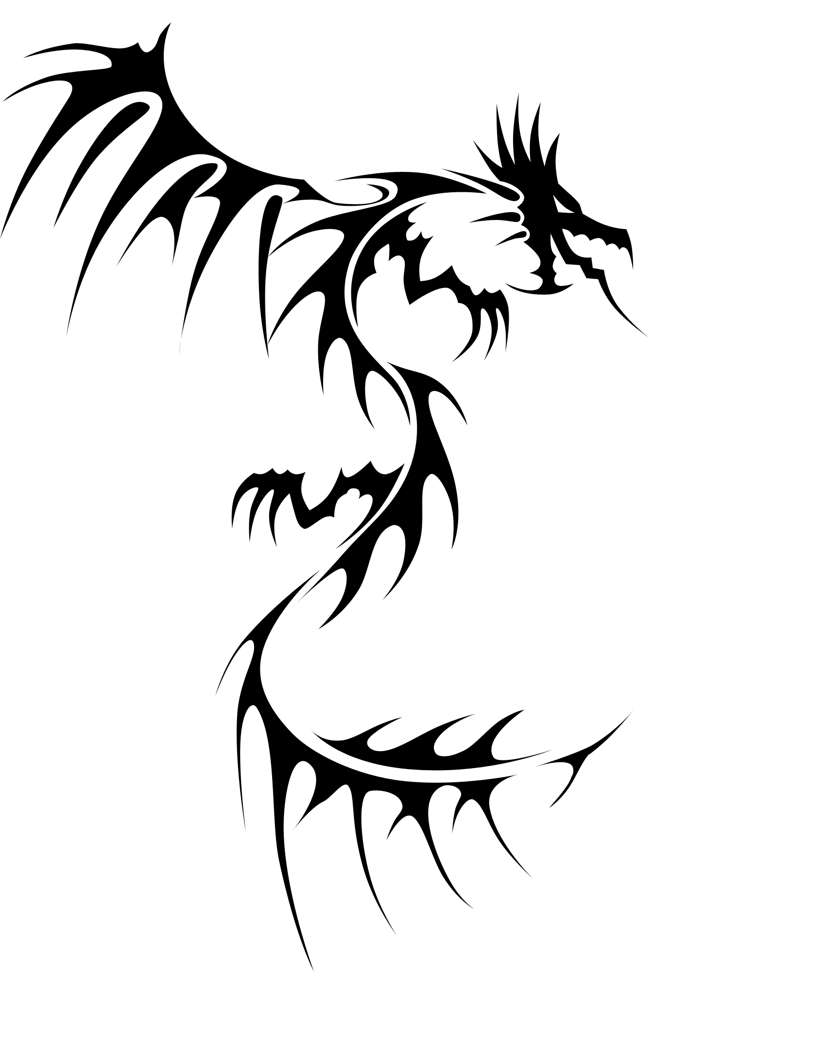 drache5.jpg