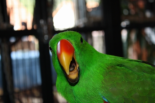 Gähn....ich bin noch Müde_klein.JPG