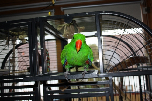 WAs kuckst du_klein.JPG