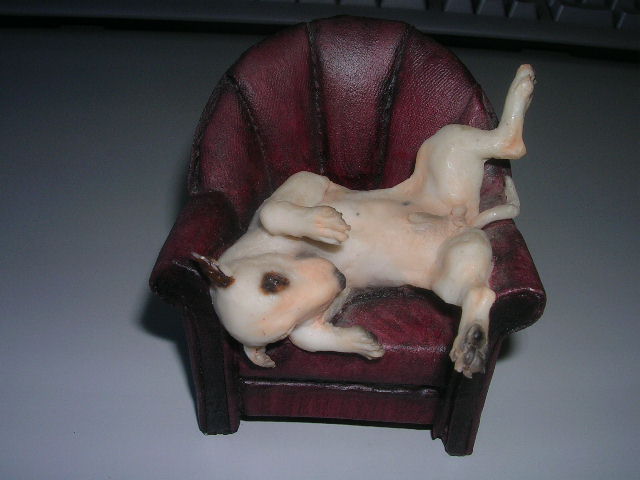 DSCN5164.JPG