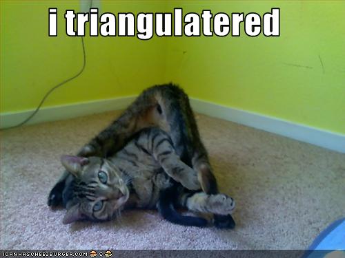 funny-pictures-cat-is-in-triangle.jpg