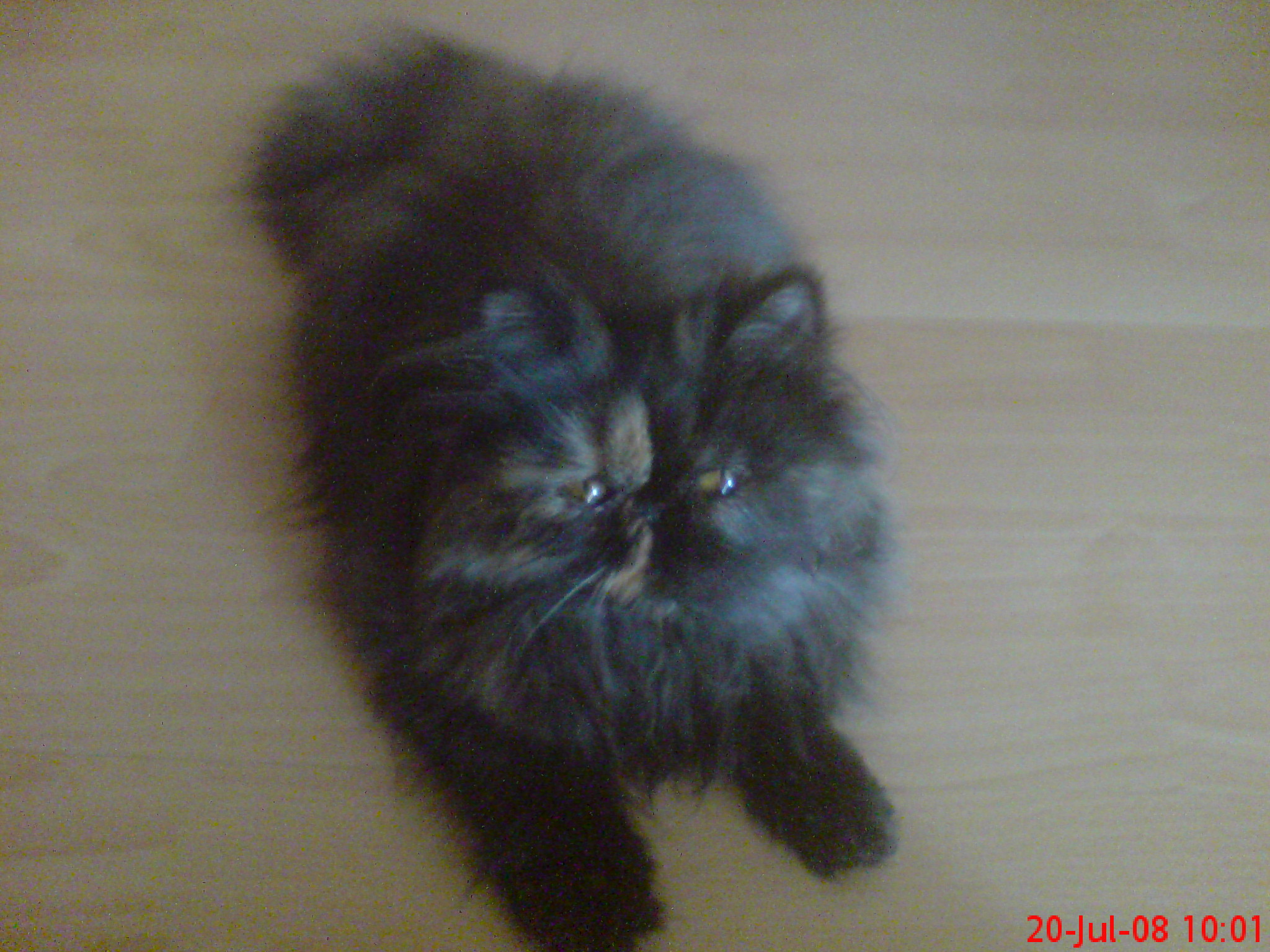 akiko2.JPG