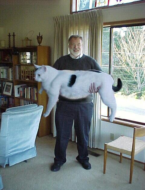 GiantMuschi.JPG