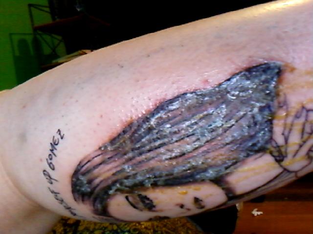 Bild 212.jpg
