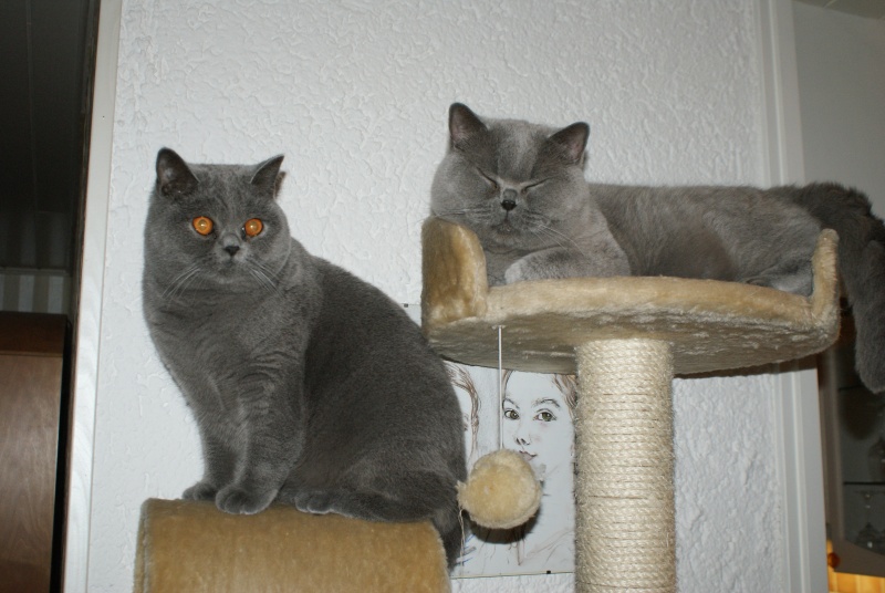 DSC01792.JPG