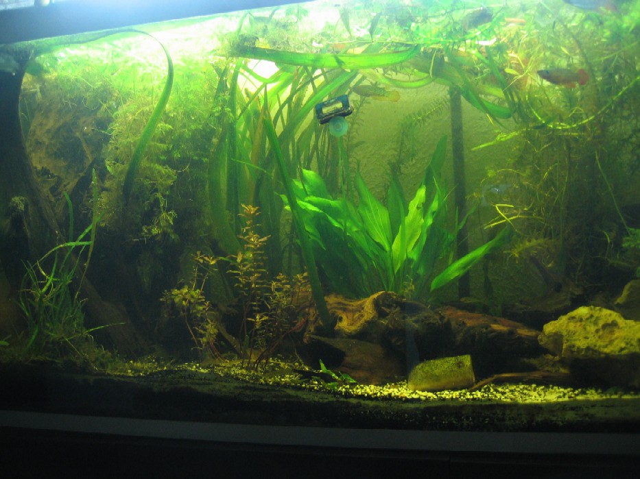 400 L.jpg
