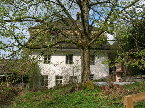 200904202126495861753_l.jpg