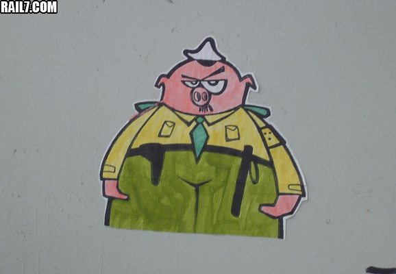 bullenschwein.jpg