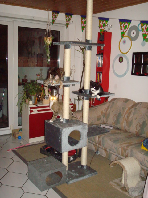 felgen und so 017.JPG