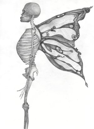 Skeleton_Butterfly_by_NarniumCitrus.jpg