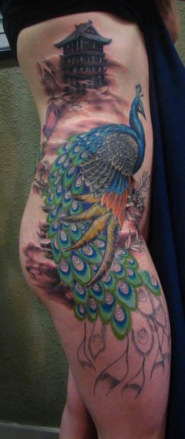 Pfau.jpg