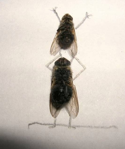 ATT00007.jpg