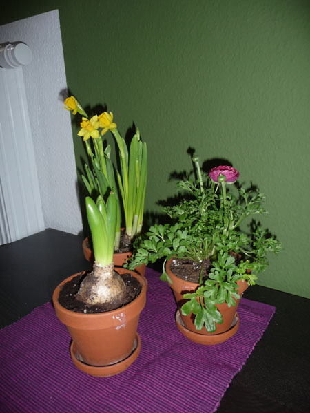 P1070793.JPG