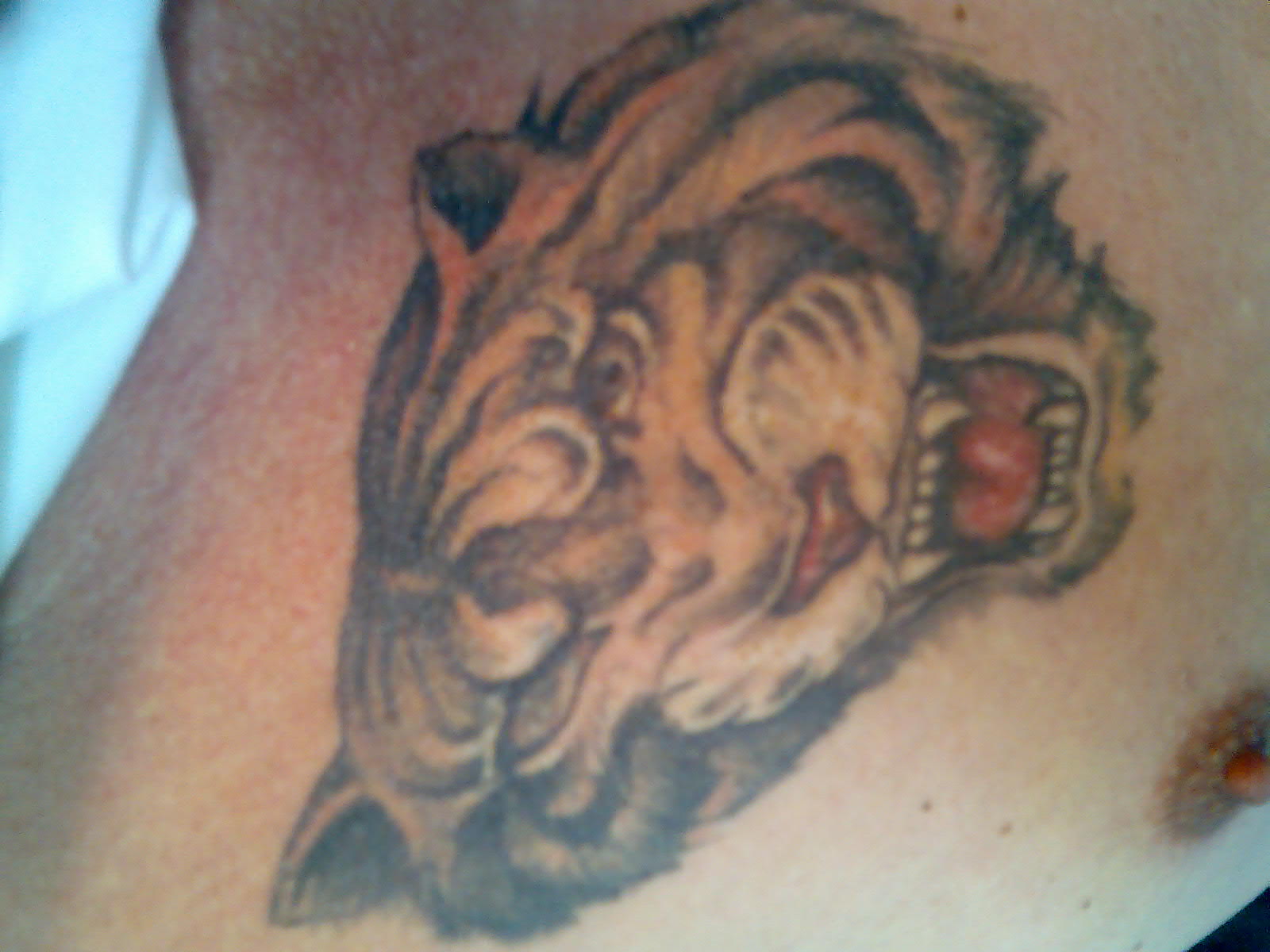 Tiger DG2.jpg