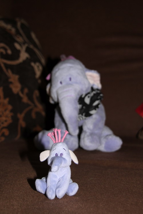 klein und groÃƒÅ¸.jpg