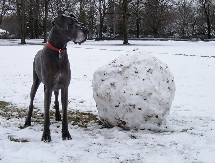 schneekugel2.jpg