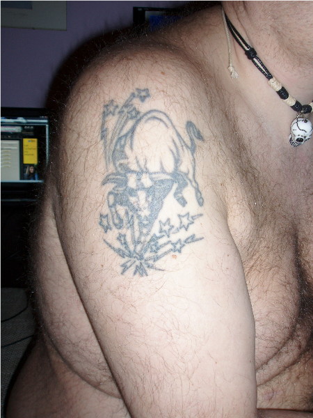 Stier01.jpg