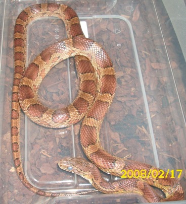 DSCI0689.JPG