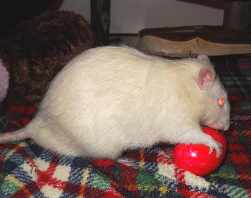 Ostern.JPG