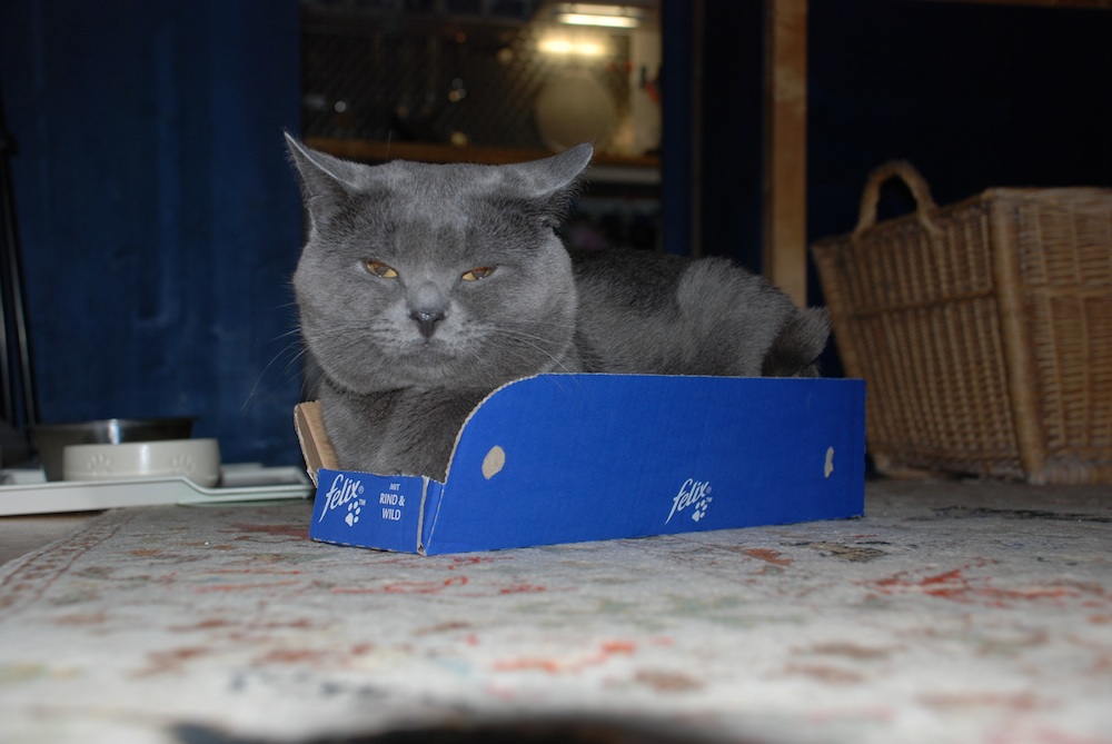 DSC_1141.jpg