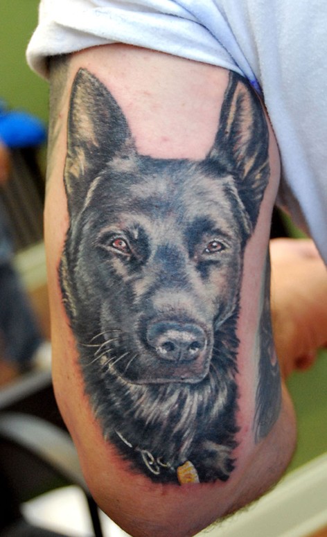 shane_oneil_dog.jpg