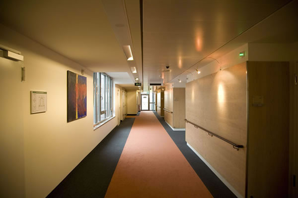 casa540_jpg.jpg