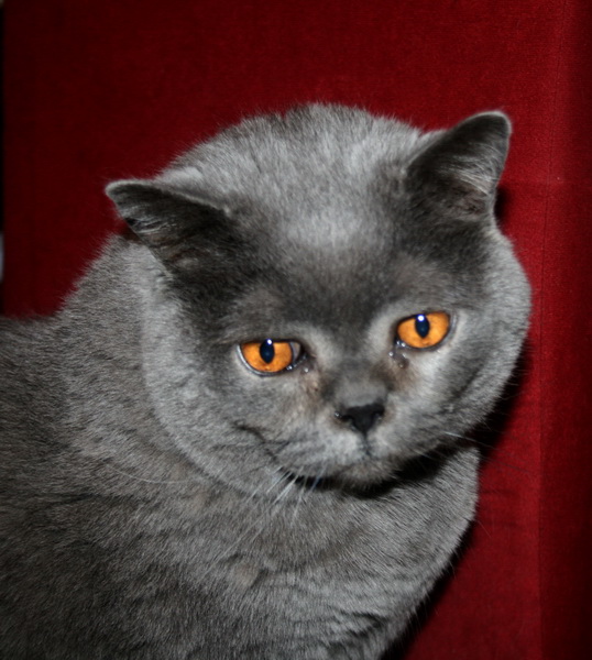 024 - Kopie.jpg