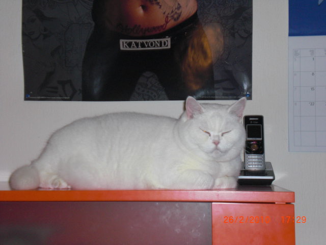 CIMG0060.JPG