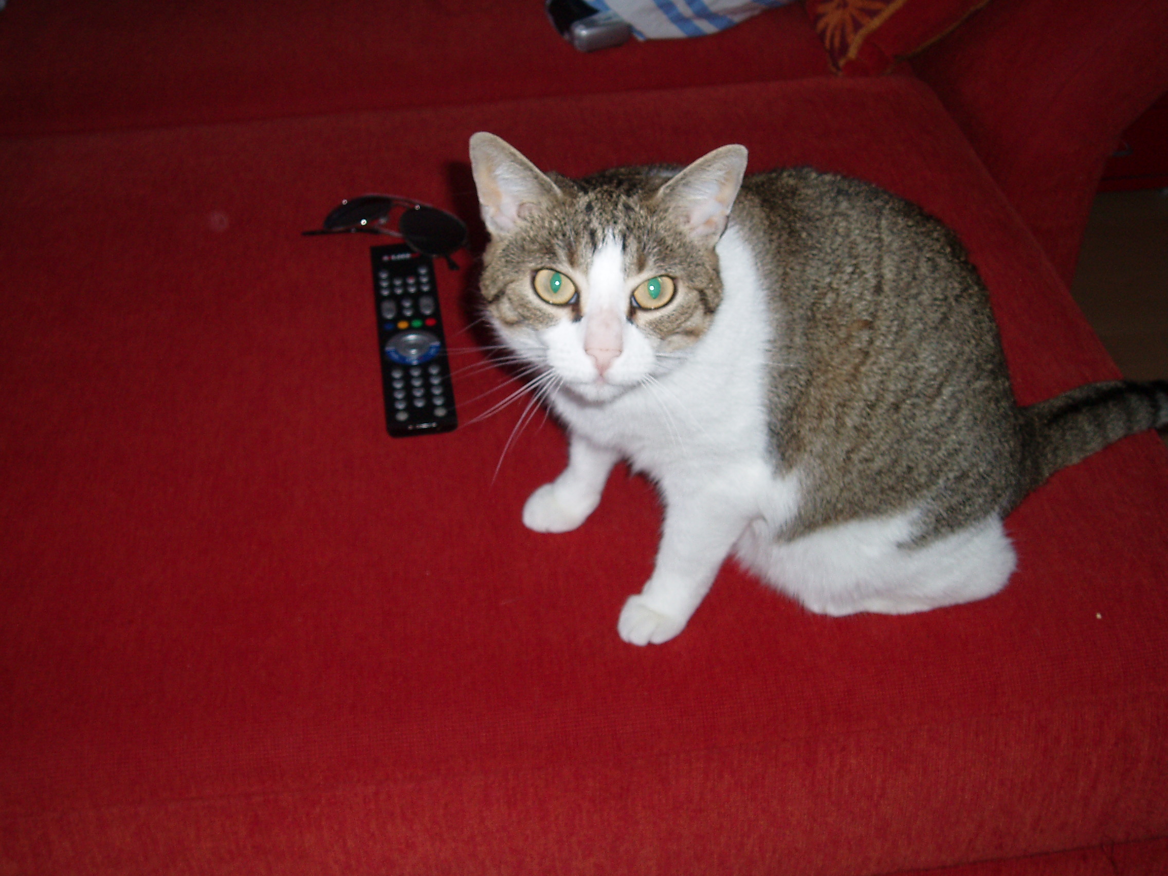 P1010008.JPG