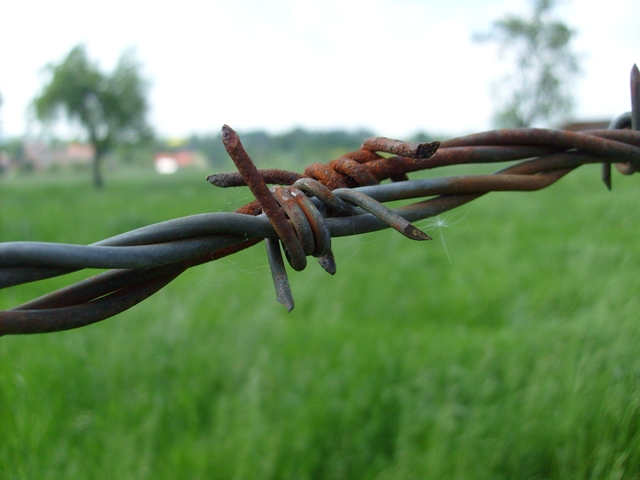 rusted from the rain.JPG