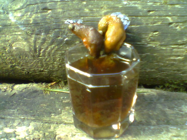 whisky-cola.jpg