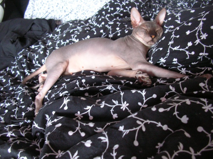 DSCN0518.JPG