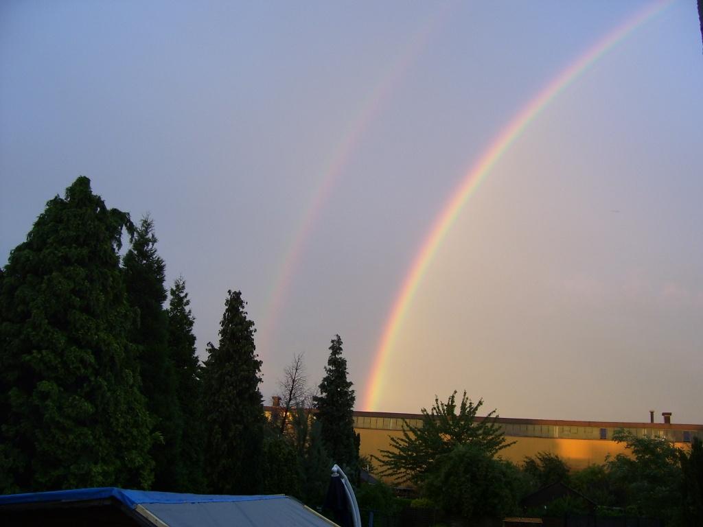 100_4689.JPG