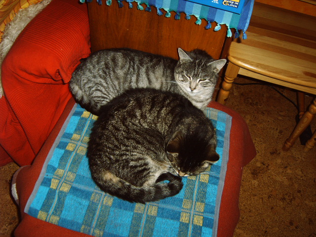 IMG00088.JPG