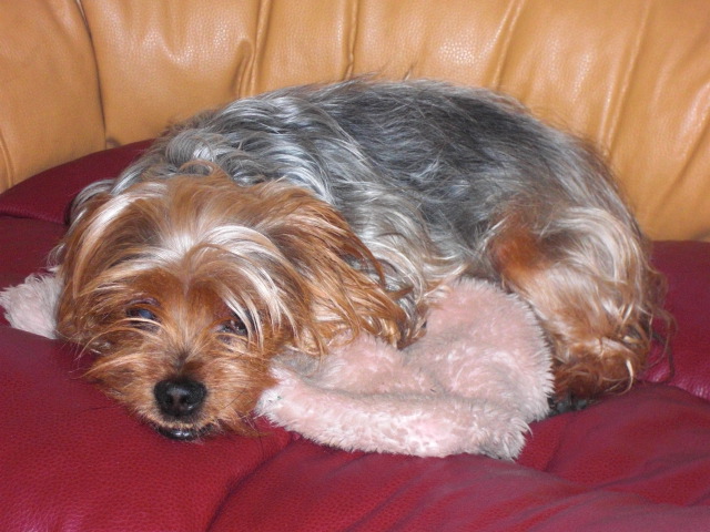 CIMG0684.JPG