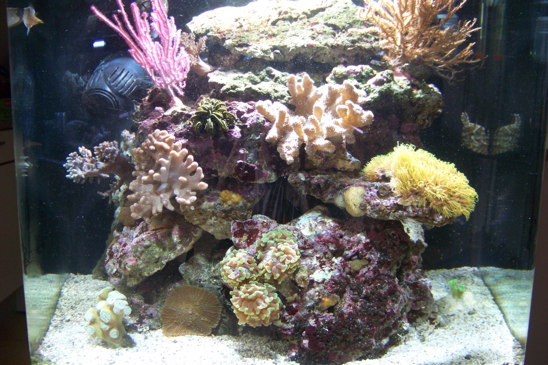 100_2823.jpg