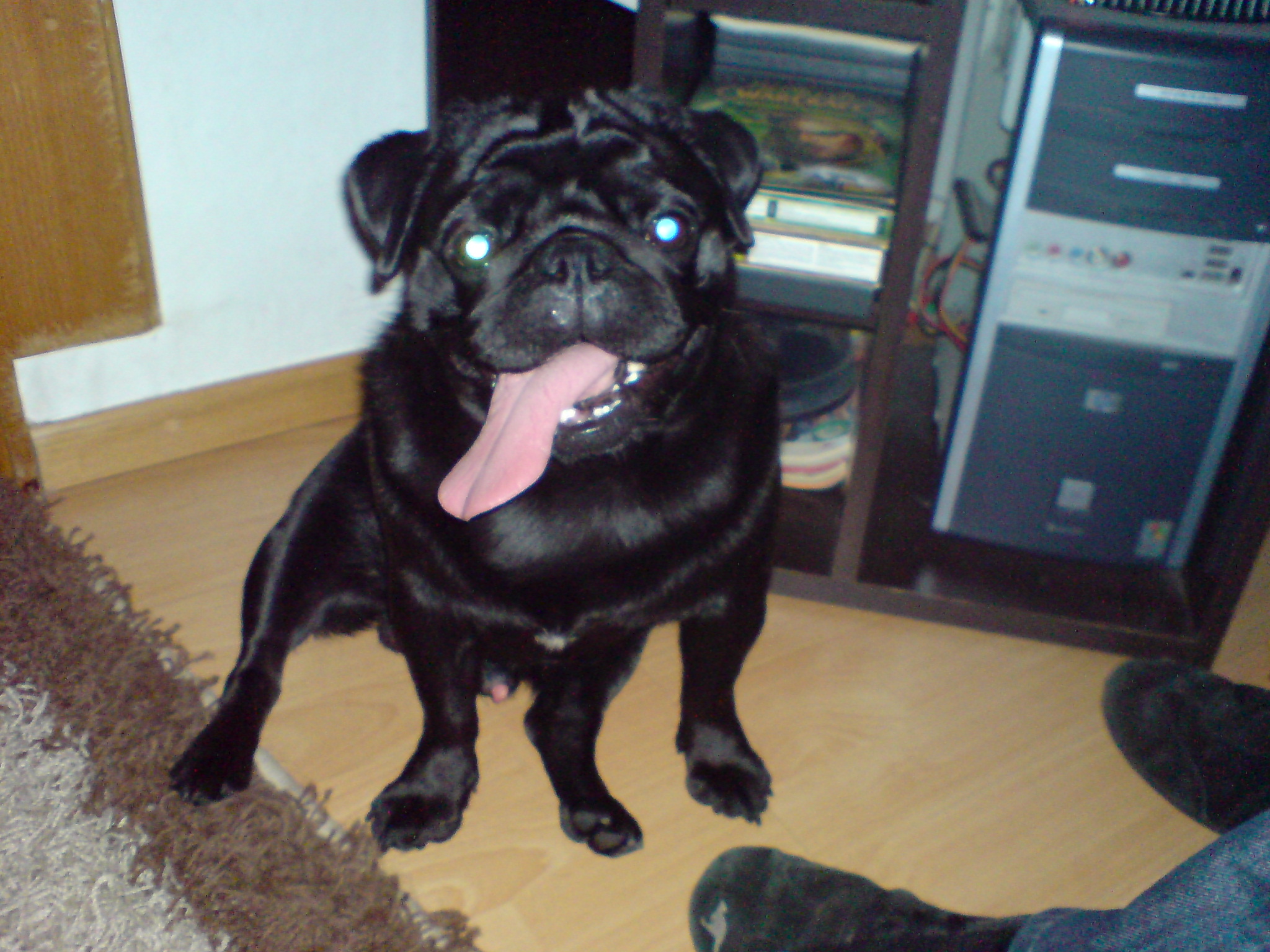 DSC00831.JPG