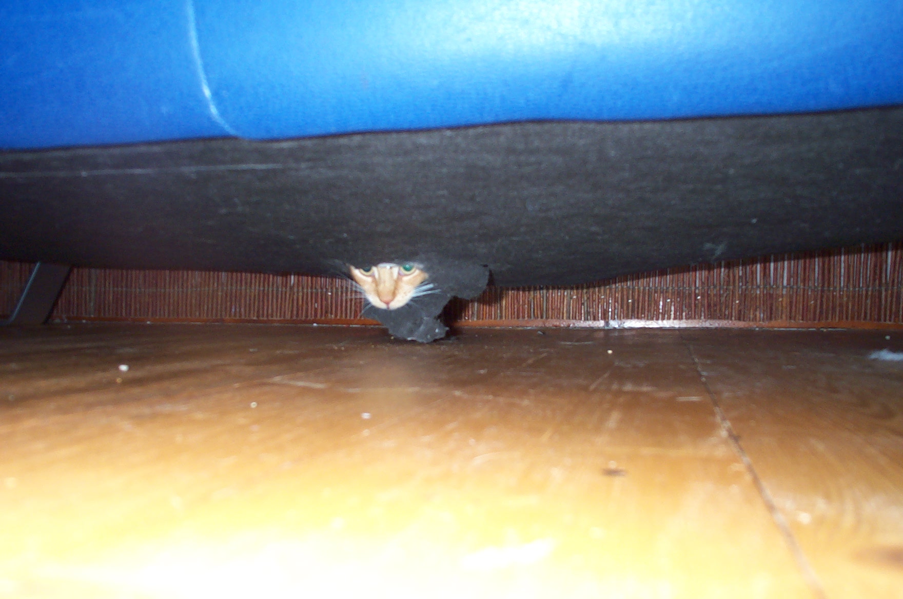 DCP_0370.JPG