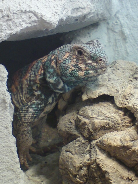 DSC00045_2.JPG