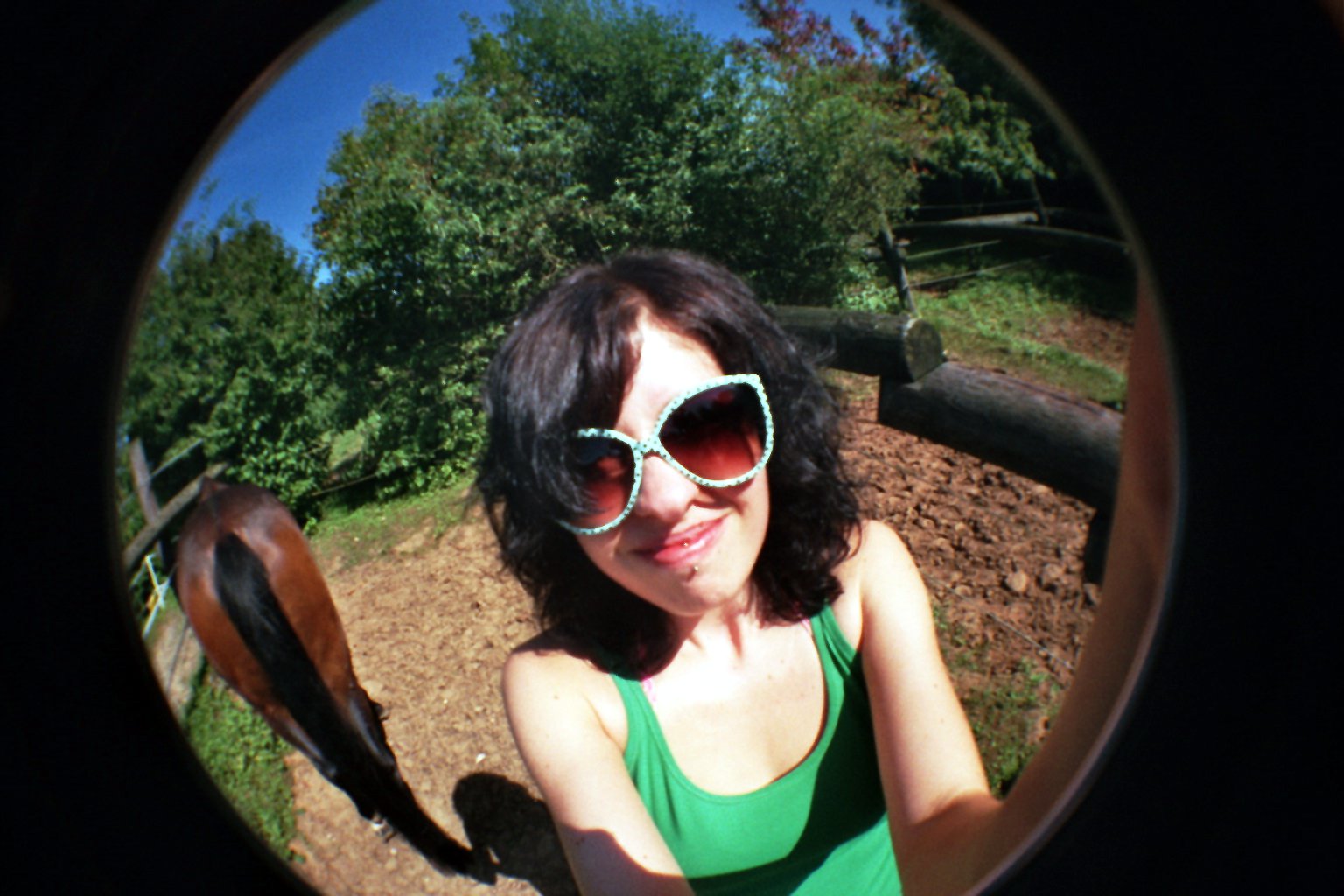 imm020_4.jpg