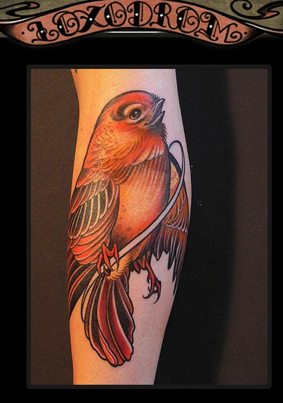 birdie01.jpg