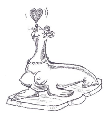 Miss_Seehund.jpg