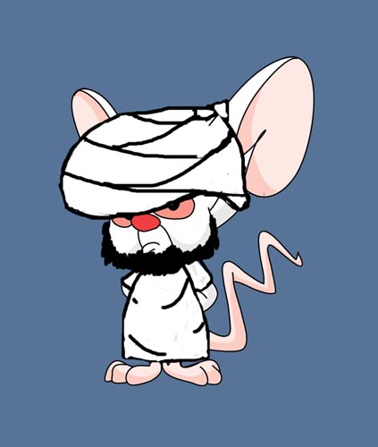 Pinky-And-The-Brain-Wallpapers.jpg