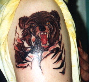 ib_p015_1_1.jpg