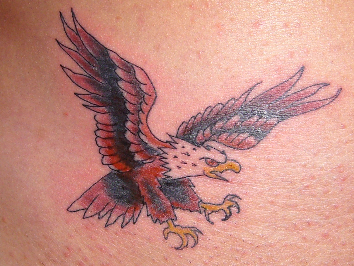 Adler bearbeitet.JPG