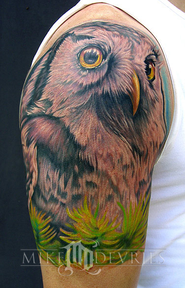 owlcolor[1].jpg
