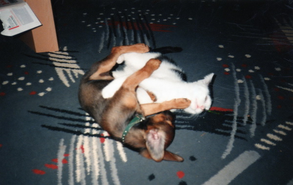 Micky und Sheeva (2).jpg