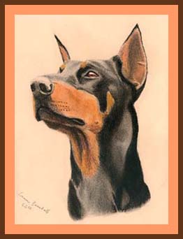 dobermann2.jpg