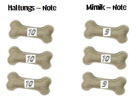 Benotung.JPG