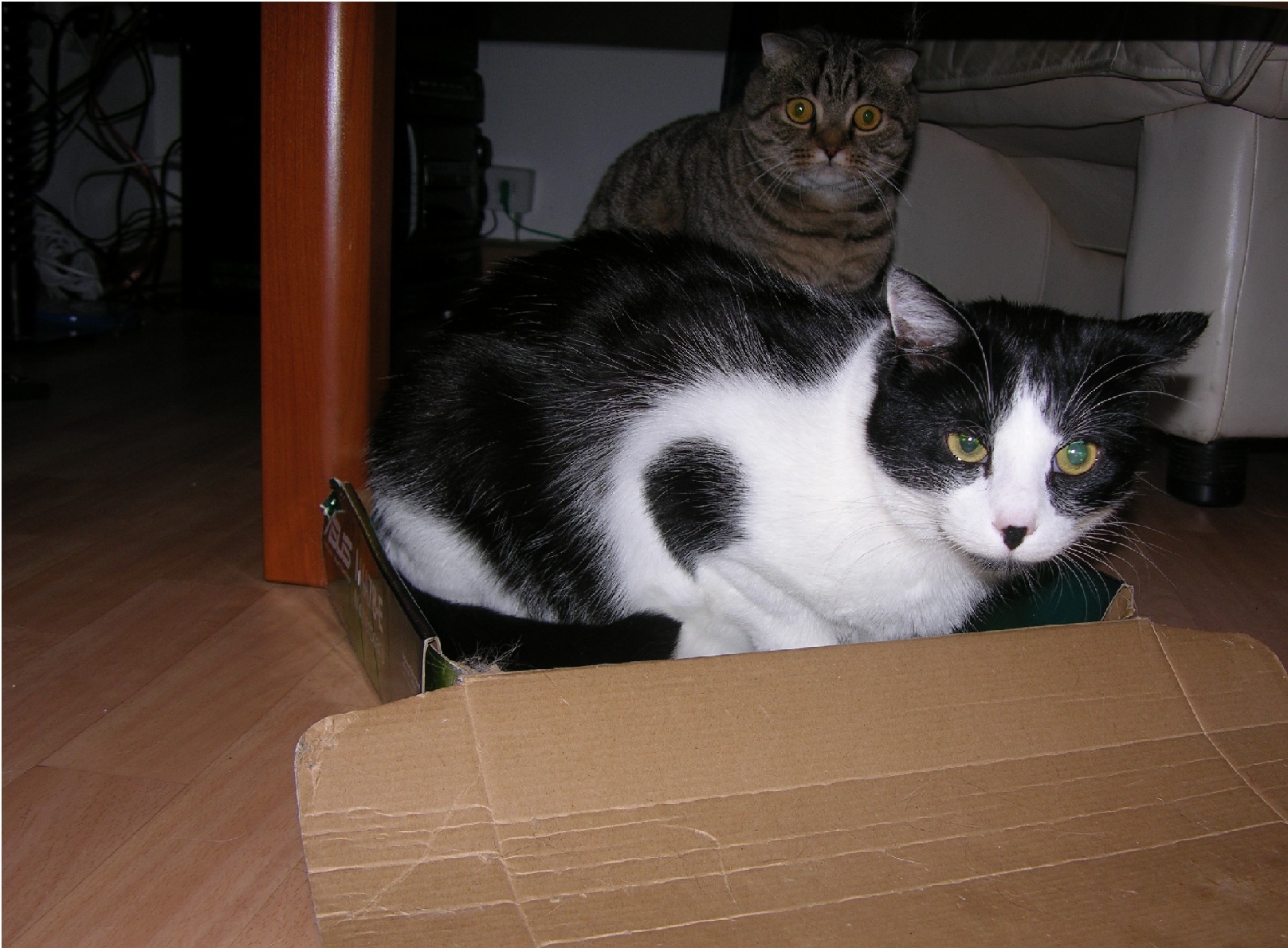 mau.jpg
